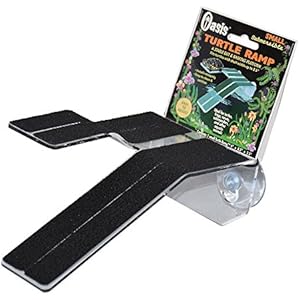 Komodo Schildkröte Rampe, klein