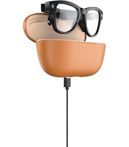 Google Glass Enterprise Edition 2 Developer Kit (Glass Pod and