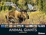 National Geographic Animal Giants 2019 - Tierkalender, Wandkalender, Posterkalender, Naturkalender 2019 - 64 x 48 cm by 