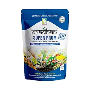 Pradhan WellGrower Super Prom Organic Fertilizer Granule 500 gm