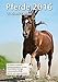 Wochenkalender - Pferde 2016 by
