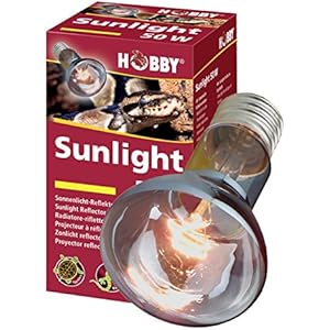 Hobby 37346 Sunlight, 125 W