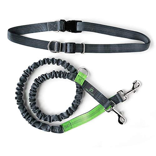 Mighty Paw Manos Libres, con absorción de Impactos, Correa en Funcionamiento. Nuestra Correa Bungee Extiende un Extra de  16a. Incluye un cinturón de Cintura Universal. 90 cm Gris