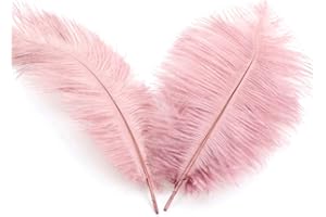 DUORIES 20 piume di struzzo naturali da 20 ? 25 cm,per fai da te,per acchiappasogni fai da te,accessori per la casa,costumi,decorazione da tavolo,matrimoni,feste,cappelli,vestiti,decorazioni,rosa antico