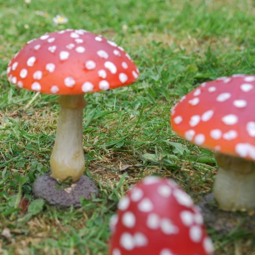 Set mit 4 Fliegenpilzen aus Kunstharz Garten Deko ca 8-12cm hoch - 3