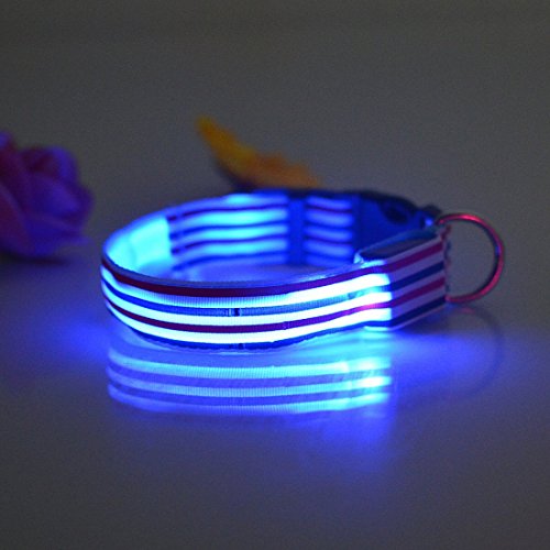 Pets-Dogs-Night-Strip-Collar-Flash-Light-Up-Led-Collars-Safety-Waterproof-Adjustable-Stripe-Colorful
