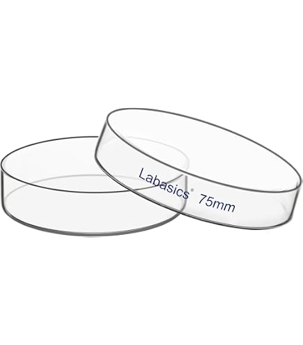Iplusmile Kristallisierschale Aus Glas Mit Ausguss  Produktbild-Vorschau 3