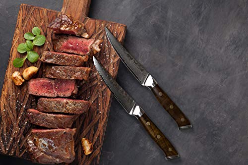 Stallion Damastmesser Ironwood Zwei Steakmesser - Damaststahl mit Griff aus Eisenholz in Edler Geschenkbox - 2