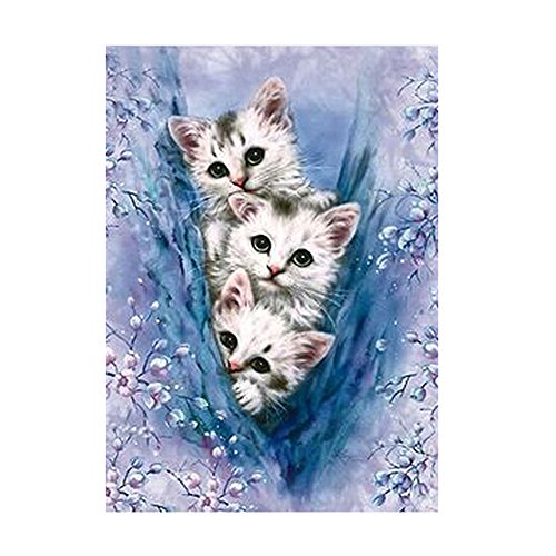 Demiawaking 5D Diamond DIY Schöne Drei Katzen Stickerei Malerei Kreuzstich für Wohnzimmer, Schlafzimmer, Arbeitszimmer usw. Haus Dekor