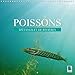 Produktbild Poissons : d'etangs et de rivieres 2016: Prises de vues sous-marines grandioses de poissons qui evoluent dans nos eaux (Calvendo Animaux)