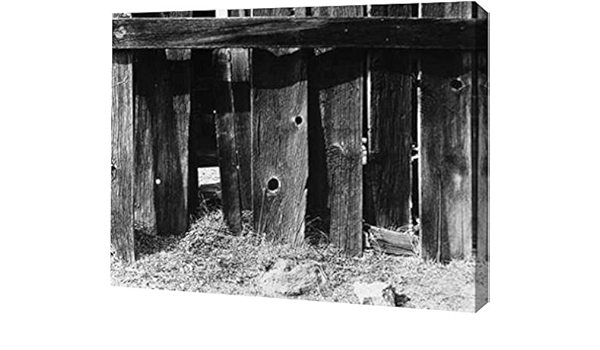 Printart Gw Pod 23 Ak Rc 2078b 16x13 Bodi Fence By Albert Koetsier Gallery Wrapped Giclee Canvas Art Print 16 X 13 Amazon In Home Kitchen