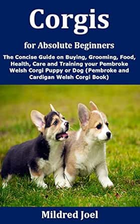 Corgis For Absolute Beginners The Concise Guide On Buying Grooming Food Health Care And Training Your Pembroke Welsh Corgi Puppy Or Dog Pembroke And Cardigan Welsh Corgi Book English Edition Ebook Joel