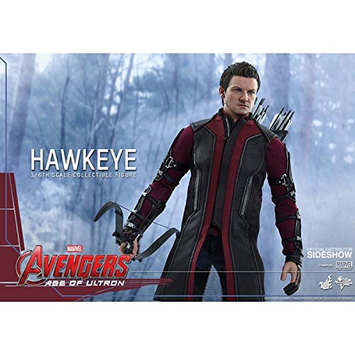 Hot Toys 1:6 Scale Avengers Age of Ultron Hawkeye Figure