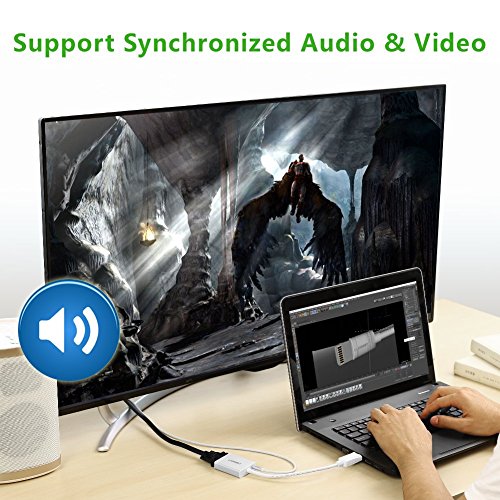 UGREEN DisplayPort auf VGA Adapter Full HD 1080p inkl. Audio DP Stecker zu Vga Buchse mit Hochwertigem Aluminiumgehäuse für Grafikkarten, Monitor, HDTVs, Projektor, Beamer vergoldete Kontakte Silber - 3