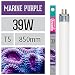 Produktbild Arcadia Marine Purple 39 Watt Lampe T5 TL5 Aquarium Meerwasser Leuchtstofflampe