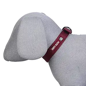 Pets Like Dog Polyester Collar Maroon(25mm) (GE-PL0002D)