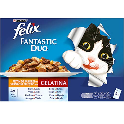 PURINA Felix Fantastic Duo Delice - Comida para Gatos Sobres Variedad de Carnes 10 x [4 x 100 g]