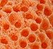Ros Marinus-Bath Shower Exfoliator Body/Face Washing Cleansing Pad Sponge Cosmetic Washing Puff (Orange)