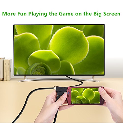 UGREEN 2m HDMI Kabel inkl. HDMI Adapter, HDMI Buchse zu mini HDMI Stecker mit HDMI auf Micro HDMI Adapter Vergoldet Kontakte, Ethernet, 3D, 4K für Full HD - 3