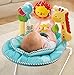 Fisher-Price 2-in-1 Sensory Stages Bouncer