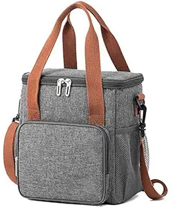 Arcanine Lunch Box Bag Insulated Cooler Tote Bento Bag for Adults,Men,Women for Office,School,Picnic (GRAY)