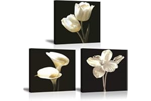 PIY PAINTING Stampe su Canvas Fiore Tulipano Bianco Calla Lily Immagine Quadro su Tela Pittura con Cornice Moderni Murale Fotografia Grafica para Sala Regalo di Anniversario Natale 3X 30x30cm