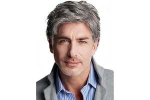 ‎SALAIBS Salaibs Grau Kurze Perücken für Männer Natürliche geschichtete synthetische Haar Perücke Realistische Hitzebeständige männliche tägliche Kappe Perücke