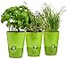 Produktbild Emsa Kräutertopf 'Fresh Herbs' aus Kunststoff 3er Set | ØxH: 13x17,3 cm je Topf | Intelligentes Selbstbewässerungssystem und Wasserstandsanzeiger | Blumentopf Trio (Grün)