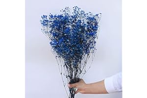 YIWOYI - Ramo de flores secas naturales Gypsophila Paniculata preservadas para decoración del hogar y fiestas de boda (azul cobalto, 30-40 cm, 30 g)