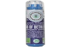 KOSMEO B Fleur de Bach N° 29 Etoile de Bethlen Granules sans Alcool S Renforcé par Chromothérapie - BIO