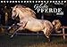 Geliebte Pferde (Tischkalender 2016 DIN A5 quer): Wunderschöne Pferde begleiten Sie durch das Jahr. (Monatskalender, 14 Seiten ) (CALVENDO Tiere) by
