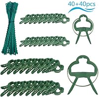 Amazon.es: Soportes para plantas: Jardín