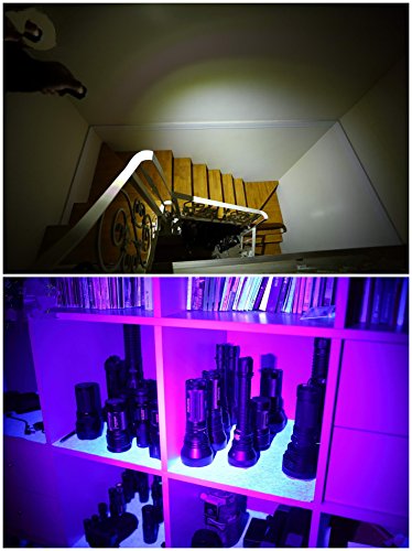 Schlüsselanhänger Taschenlampe,SGODDE Tragbare LED-Taschenlampe Lampe mit Schlüsselring schwarz - 6
