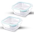 ATTRO Glassox Classic Square Lunch Box with Locking Lid Borosilicate Glass Lunch Box Fridge Organizer Food Storage Container Microwave & Freezer Safe Set of 2 (310 ML),Transparent