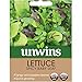 Produktbild Unwins Salatsamen - Würzige Baby-leaf