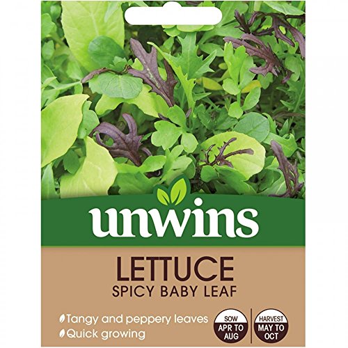 Preisvergleich Produktbild Unwins Salatsamen - Würzige Baby-leaf