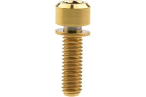 Ruifu M6 Grade 5 Titanium Allen Head Bolt Screw with Washer 16 18 20 25 35 mm for Mountain Bike Bicycle Disc Brake (Gold, M6x20mm)
