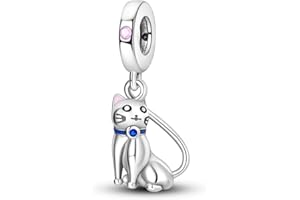 Hapour 925 de Plata de Ley Encantos para el Encanto Pulseras Collar Europeo Joyería Colgante Abalorios Encanto Cumpleaños Regalo para las Mujeres Niñas Mamá Hija