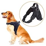 arnes golden retriever Ideal para caminar, correr, caminar, traning perro, y otras actividades al aire libre, apto para Labrador, que reúne perros, Doberman, Golden Retriever y otros perros