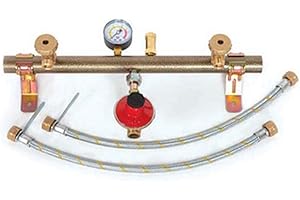 DIANFLEX 420-504 Kit centralina per Gas 2 Vie Regolabili 3 kg/h, Multicolore