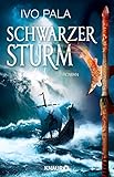 Cover zum Buch Schwarzer Sturm