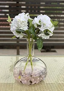 Labzio Home - Decorative Round Borosilicate Glass Flower vase for Floral Arrangements at Home, Offices for Parties or Weddings (Clear, Large)