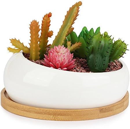 Innoter Modern White Ceramic Succulent Planter, Decorative Cactus Flower Pot (Bevel Connection)