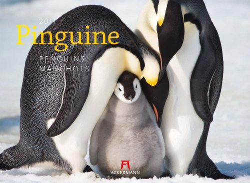 Pinguine 2011