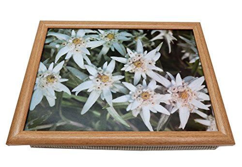 Knietablett Edelweiß Lapdesks mit Holzrahmen 43x33x7 cm