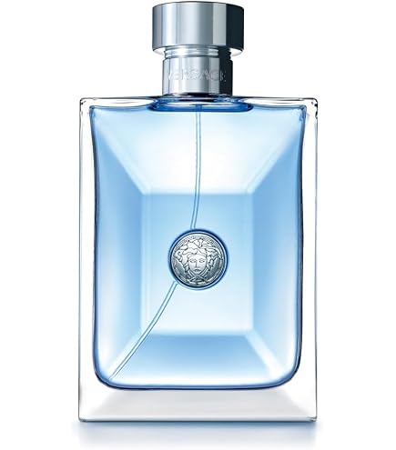 Versace Dylan Blue EDT Erkek Parfümü 100 ml : Amazon.com.tr
