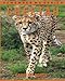Price comparison product image Cheetah: Amazing Photos & Fun Facts Book About Cheetah For Kids (Remember Me Series)