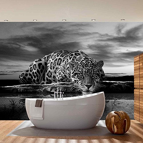 Vlies Fototapete PREMIUM PLUS Wand Foto Tapete Wand Bild Vliestapete – Leopard Wasser Himmel – no. 3560, Größe: 368 x 254 cm Vlies - 7