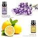 Lagunamoon Essential Oils Top 6 Gift Set - Lavender,Tea Tree,Peppermint,Rosemary,Lemon,Frankincense - Therapeutic Essential Oil 10ml each bottle, 6 Pack