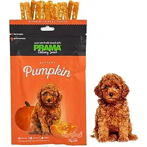 Nootie Prama Pumpkin Dog Treats,70 GMS
